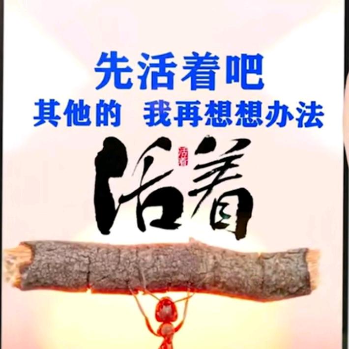 @兴化合陈小居