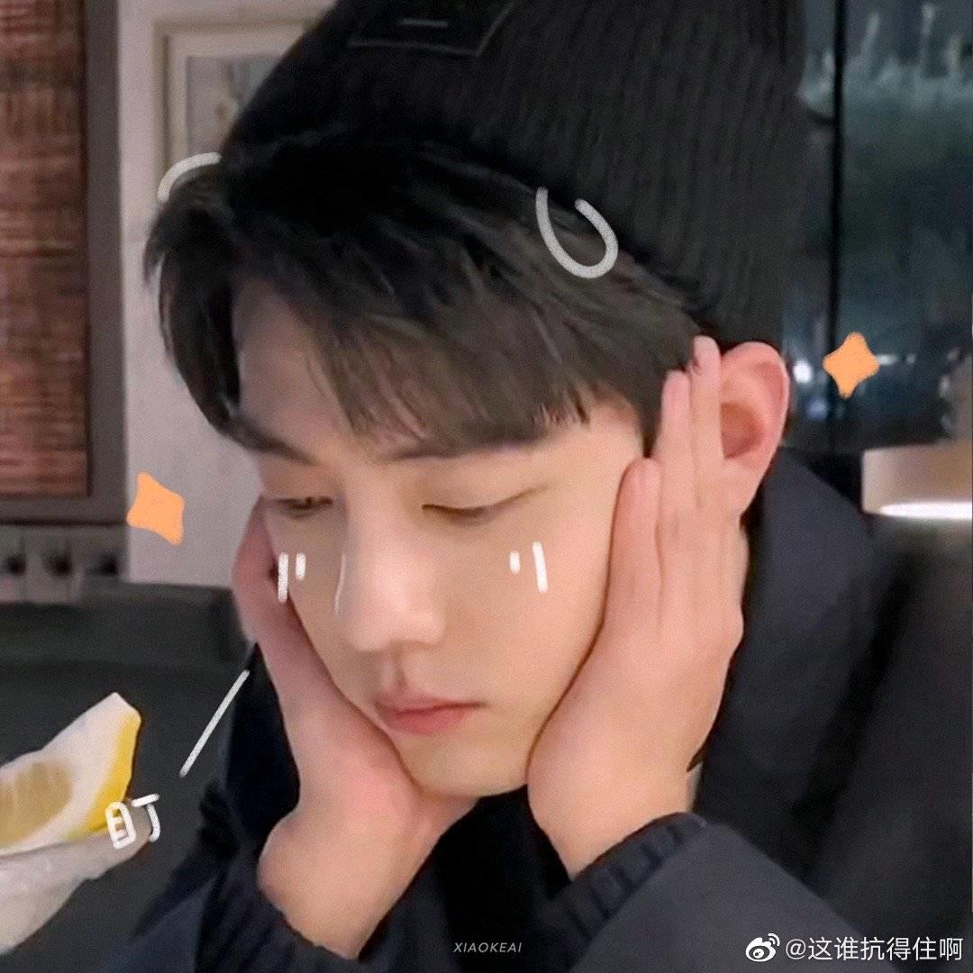博肖兔兔