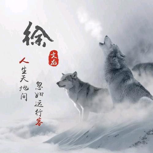 ℡╭(╯孤狼╰)╮