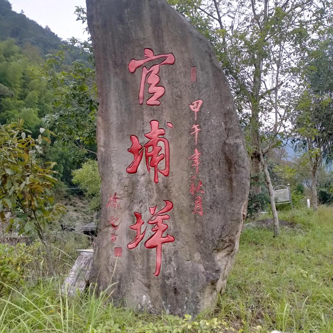 龙泉毛哥