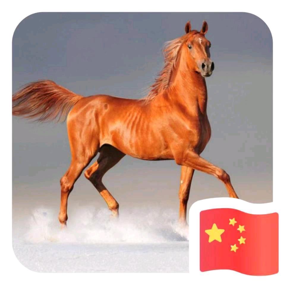 志在四方