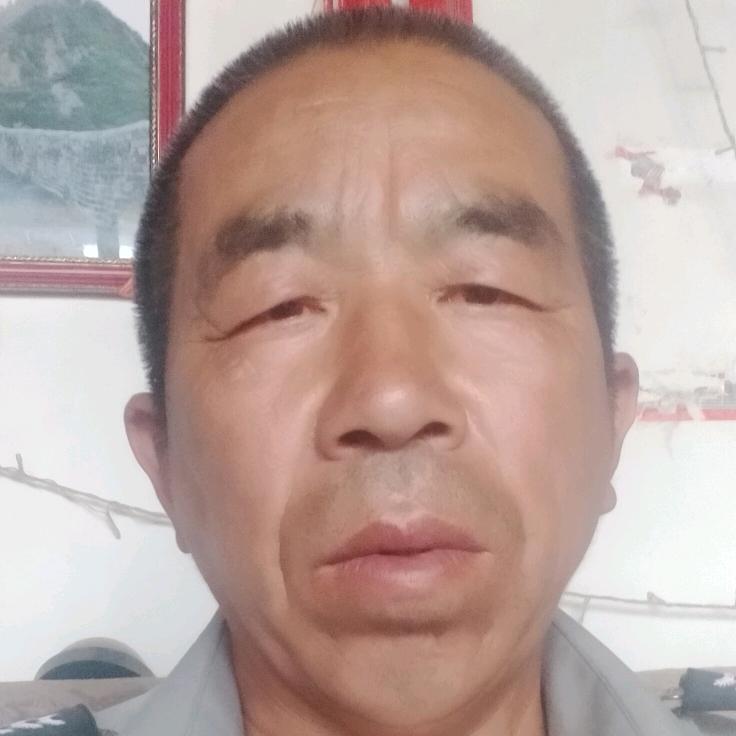 飞翔全魁