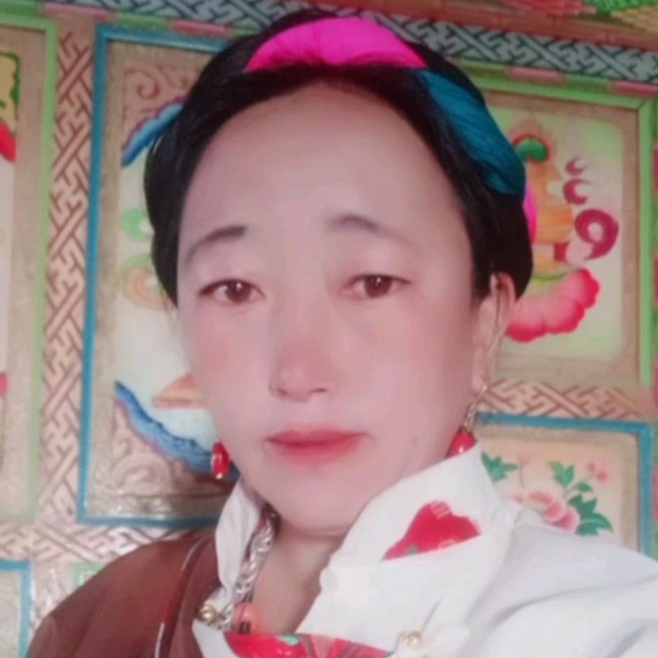 宝