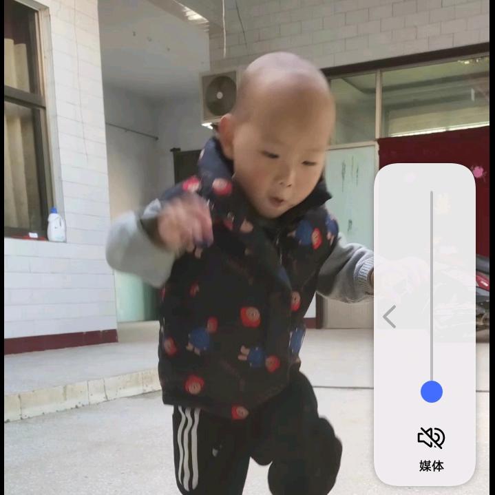 坚强的翅膀