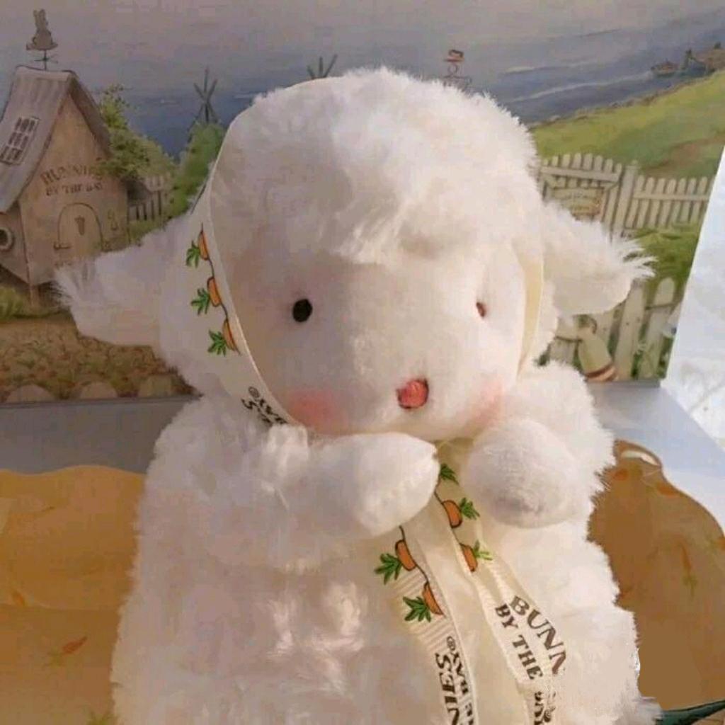 白羊碰碰🐑