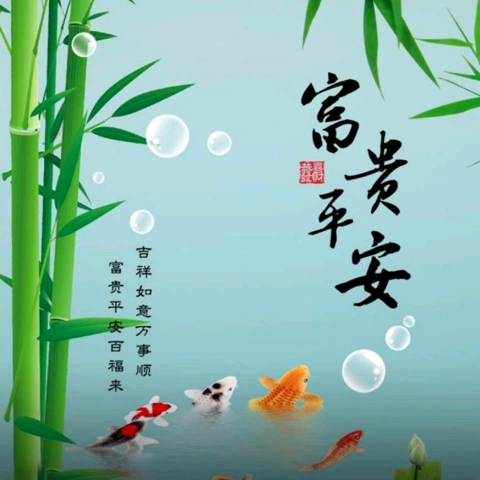 枫叶🍁
