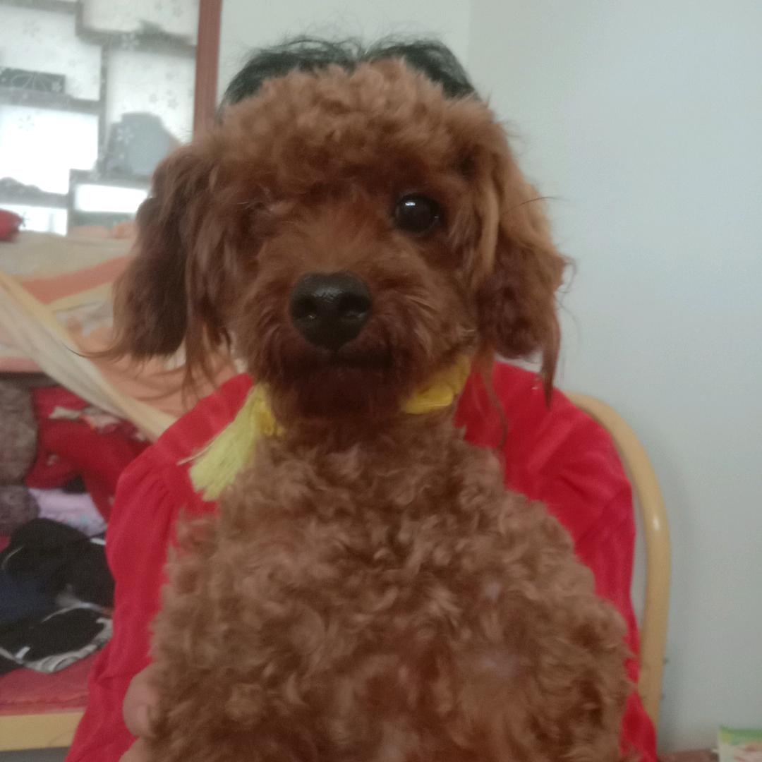 奶奶开心