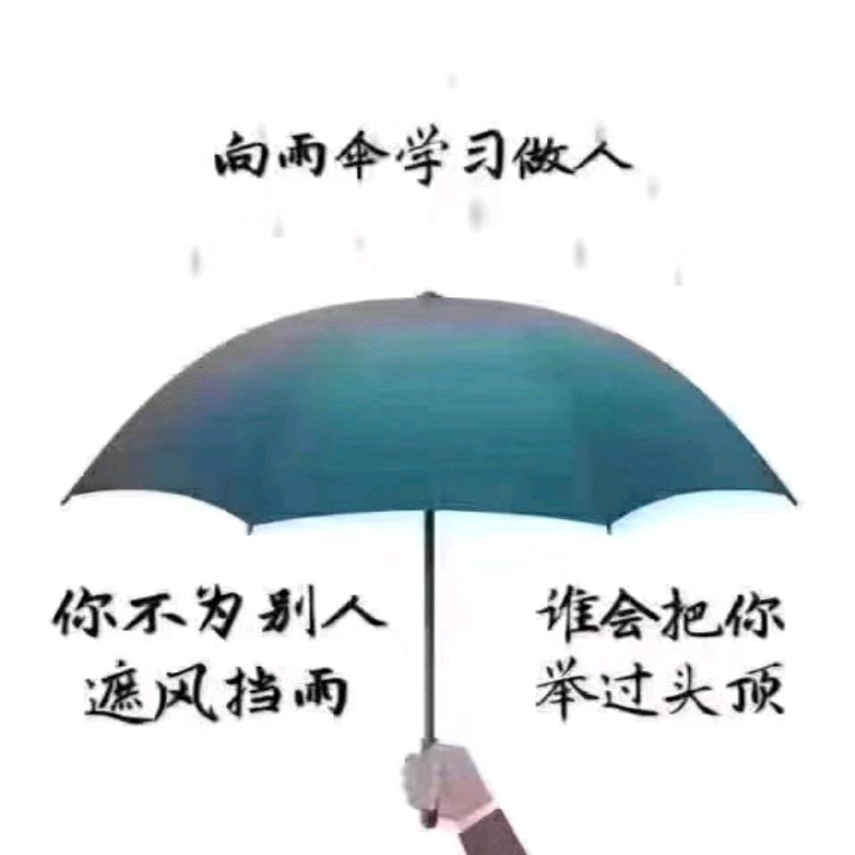 陌上酒雨