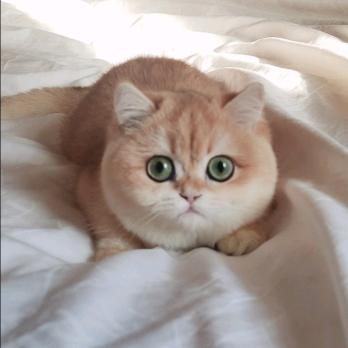 亮点
