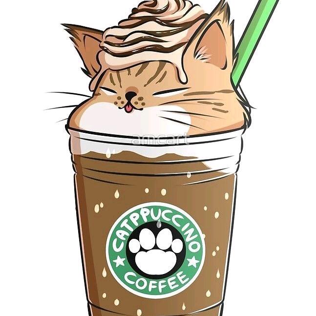 ♪貓小弟Chris♪