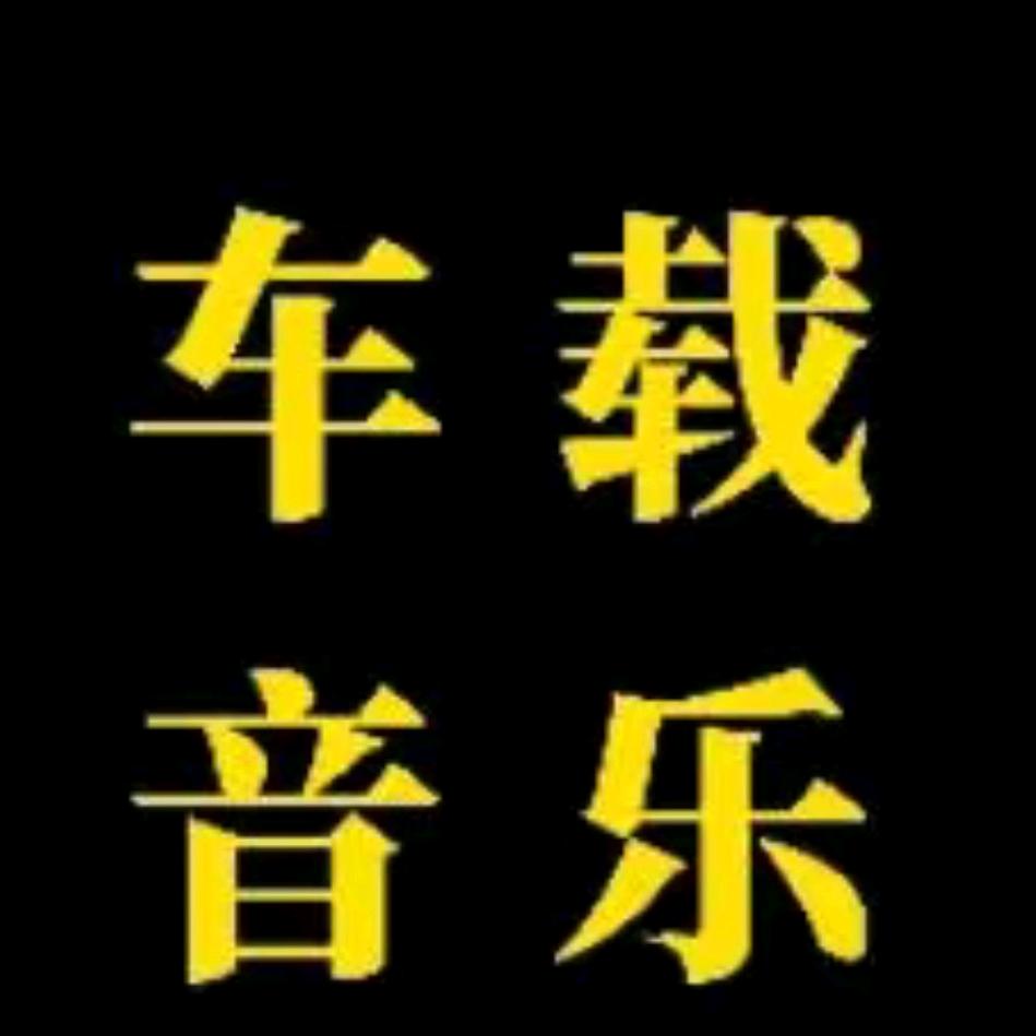 乐动心声(车载u盘)