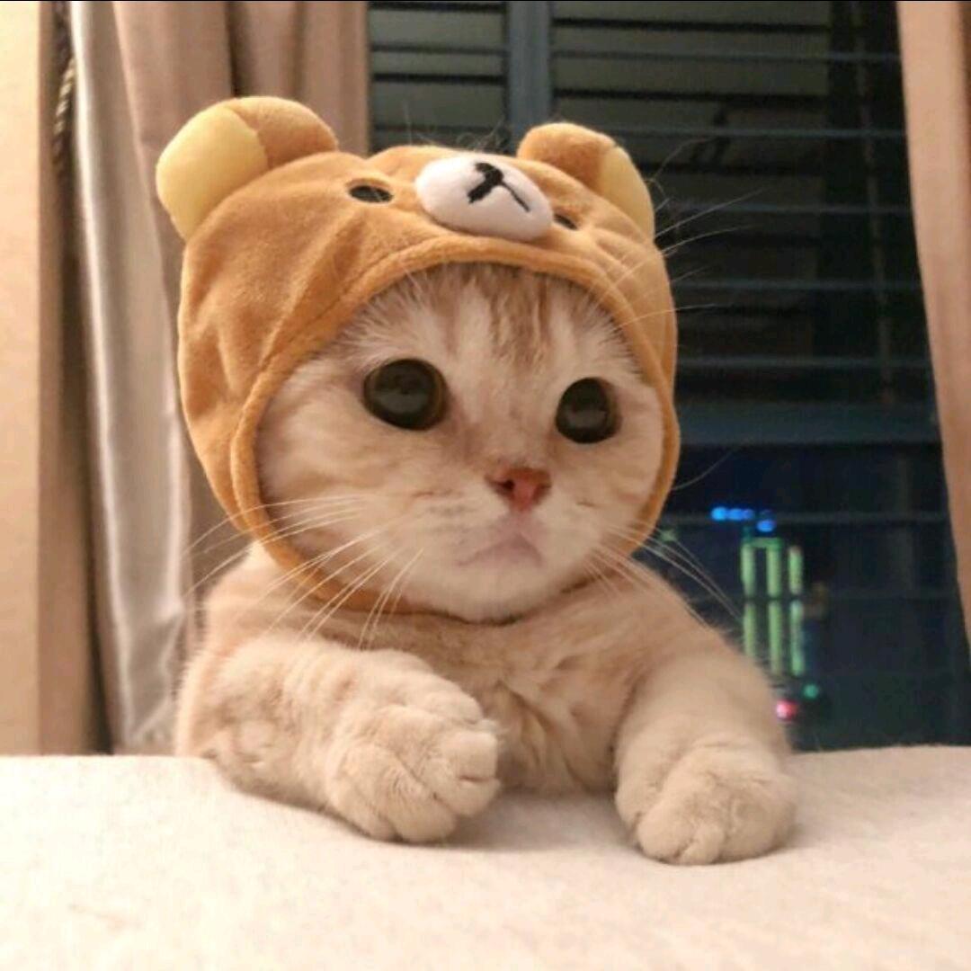 小黄鸭（元梦之星）