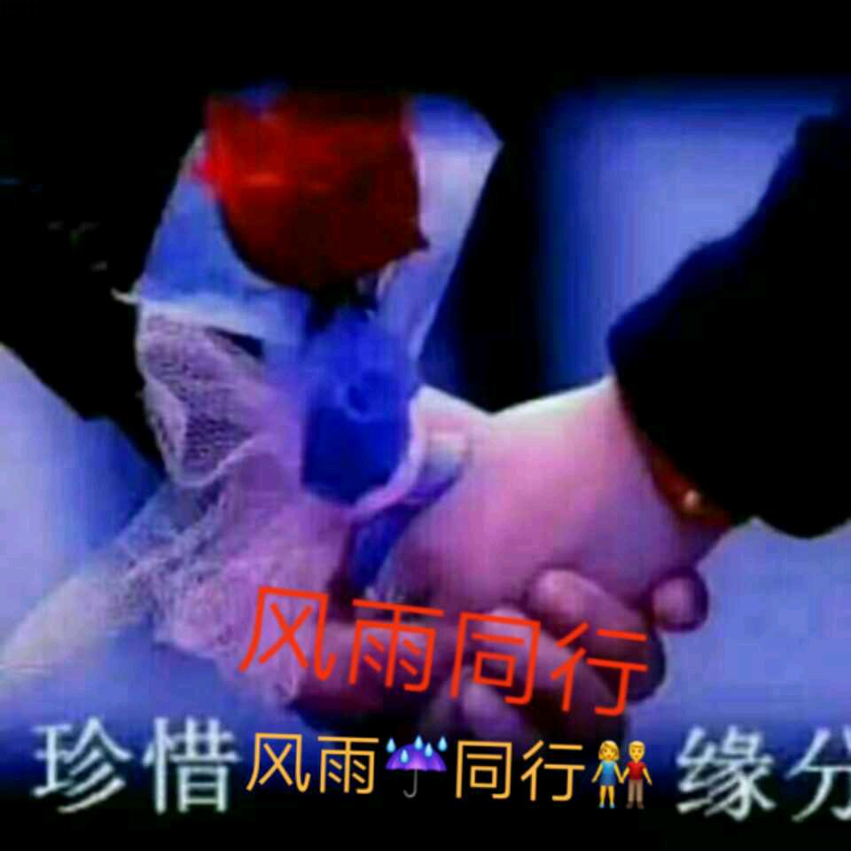 向着太阳🌞