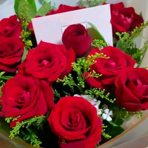 星星知我心《拒聊》