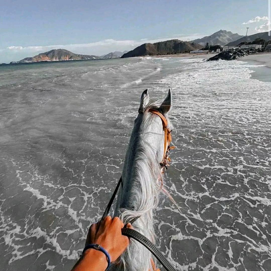 我运气大于实力