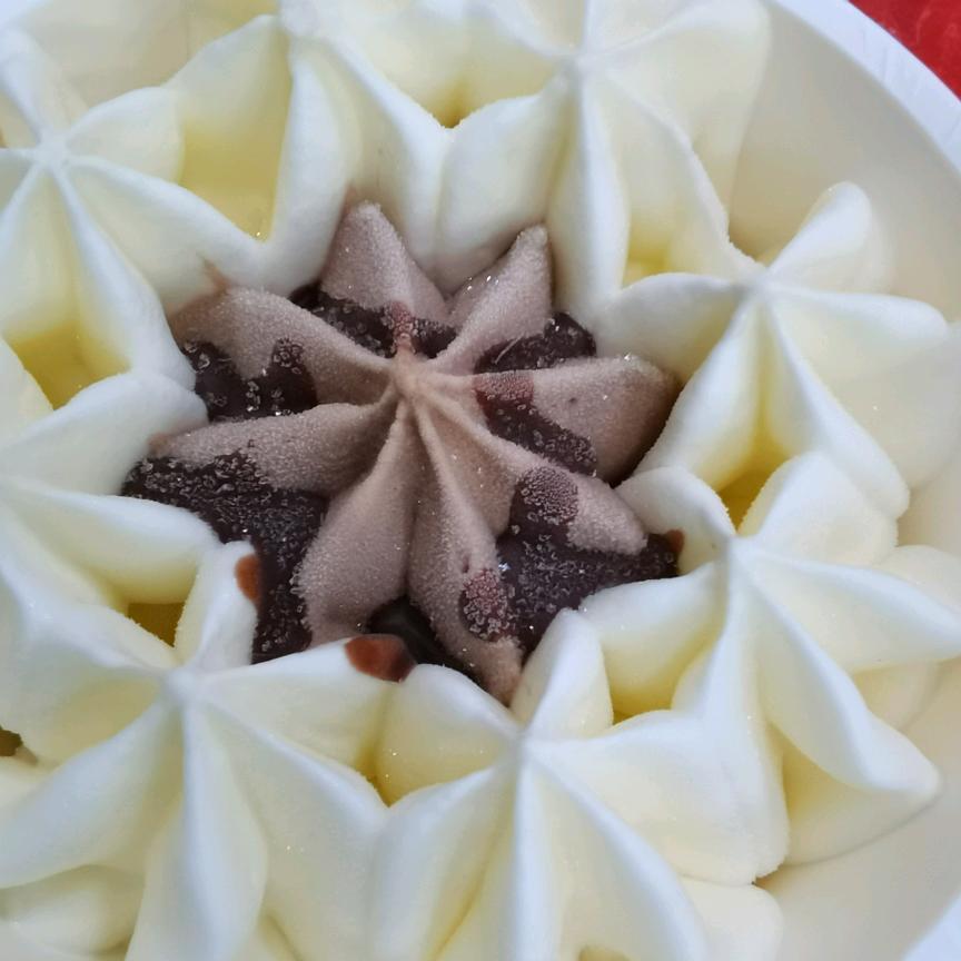 玫瑰