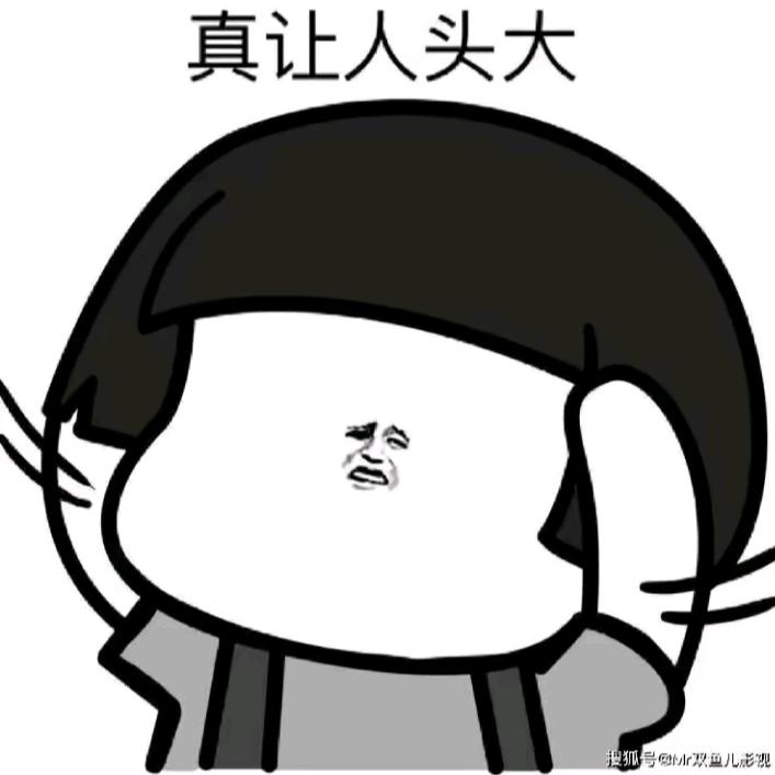 海狮头像