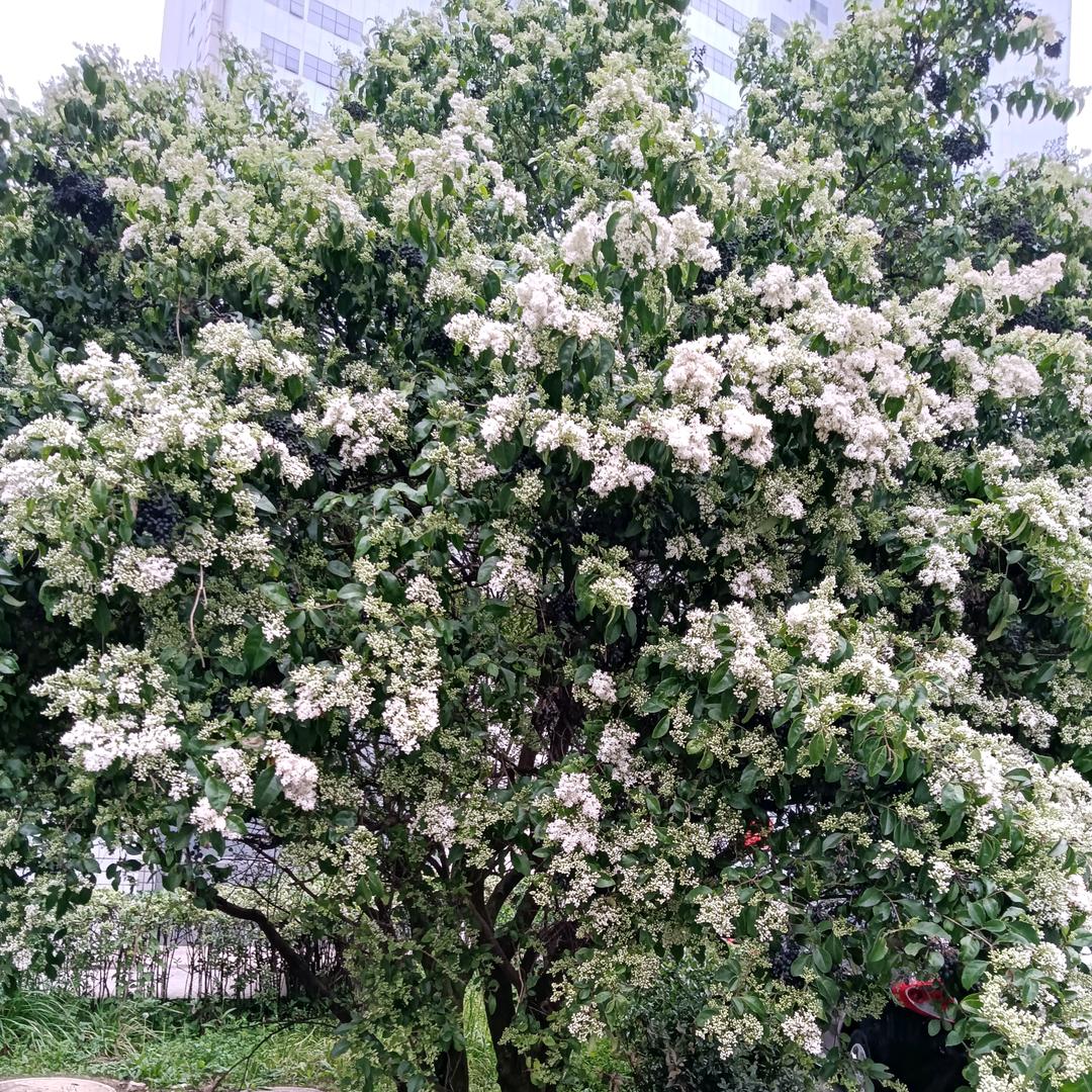幸福永久