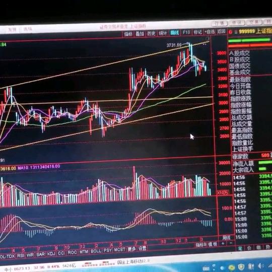 有吊桥的菜园子的春天