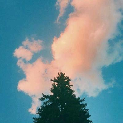 宝贝的童年