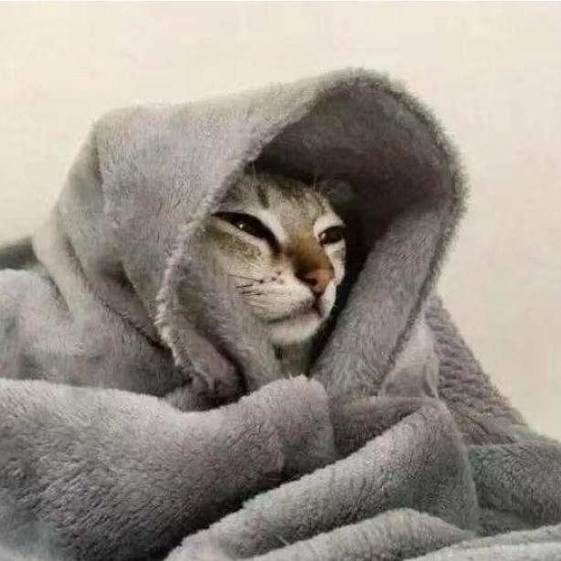 我与命运三七开