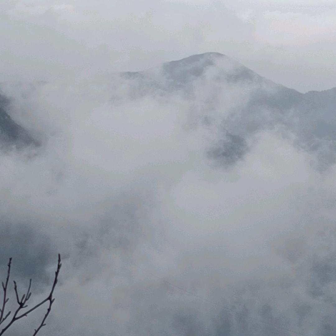 长发男孩