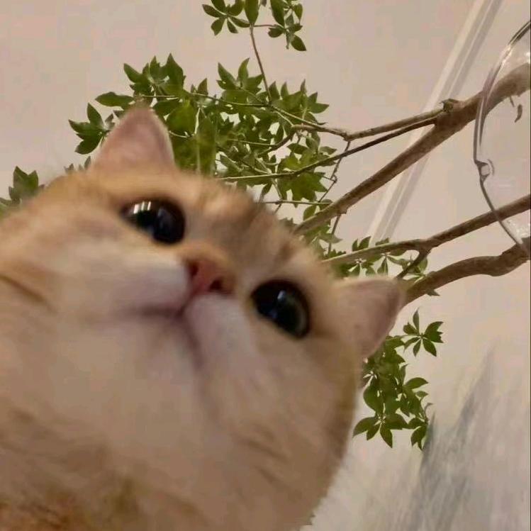 我
