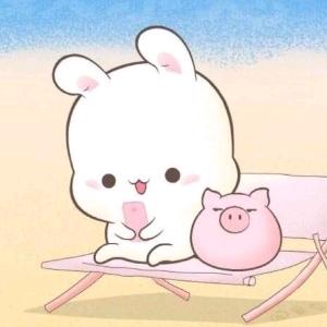 欢乐猪兔说影视