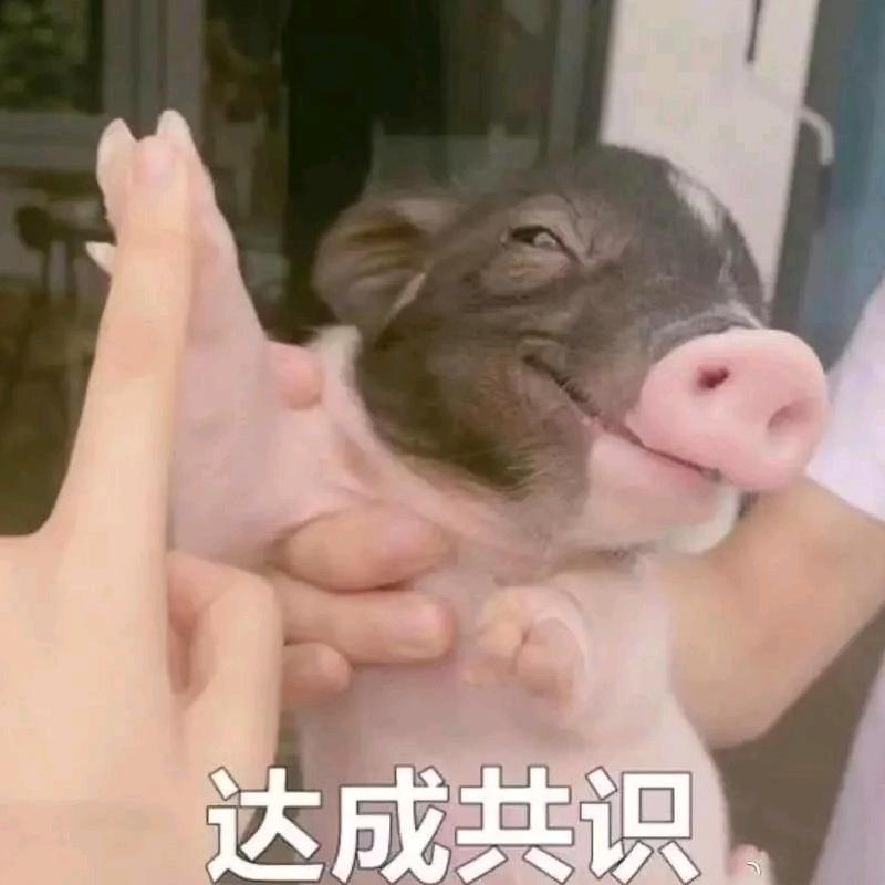 夏目友人赖账