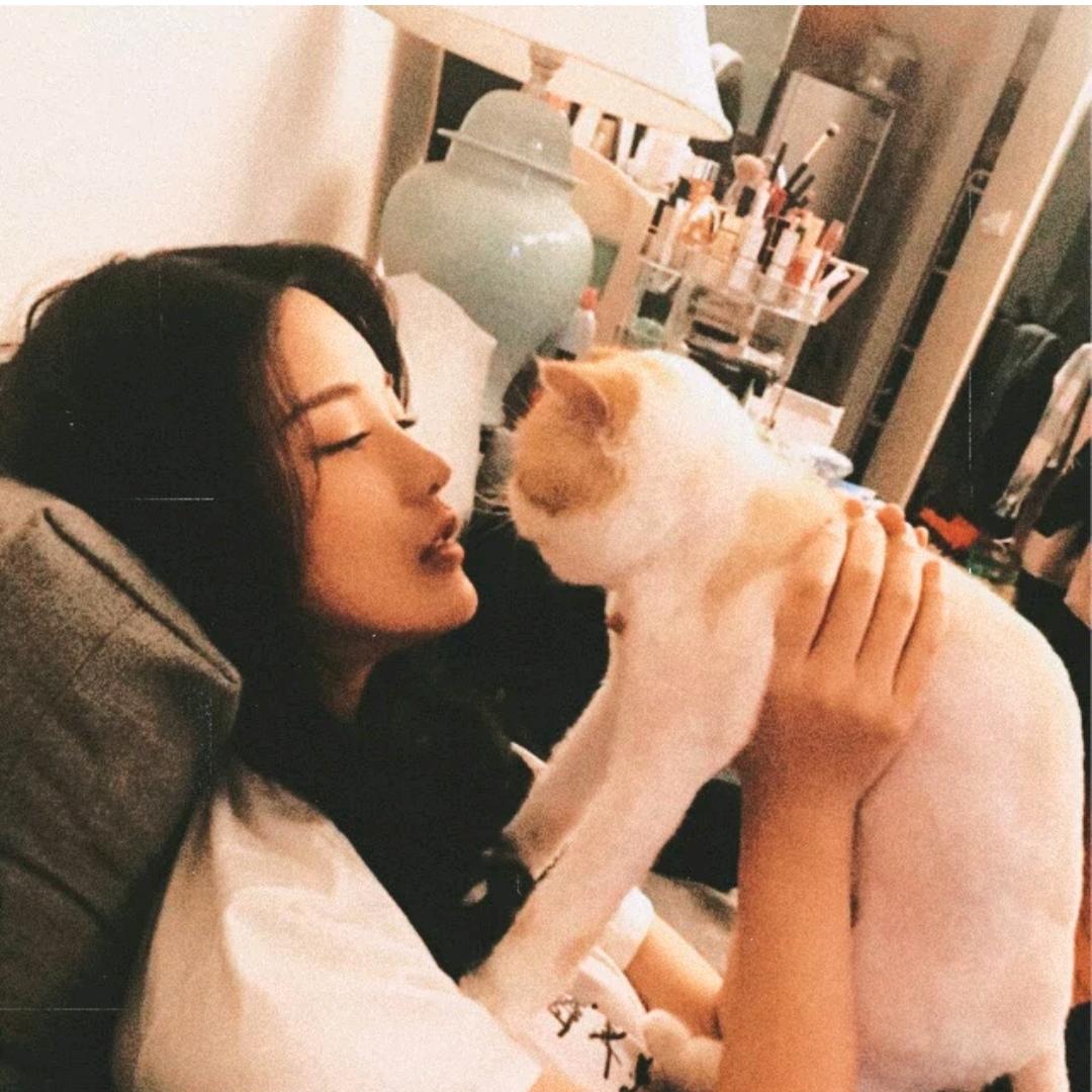 曦美人🐬