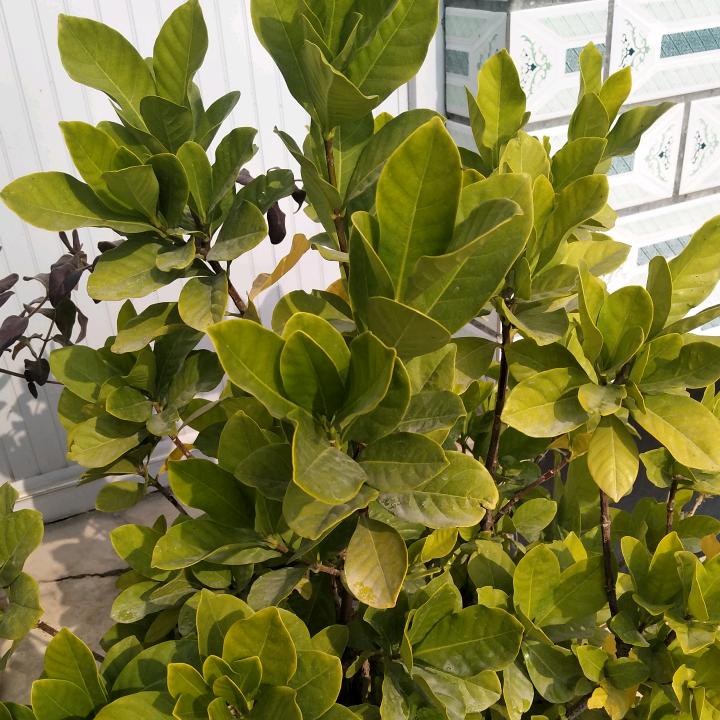 诺克汽车零配件