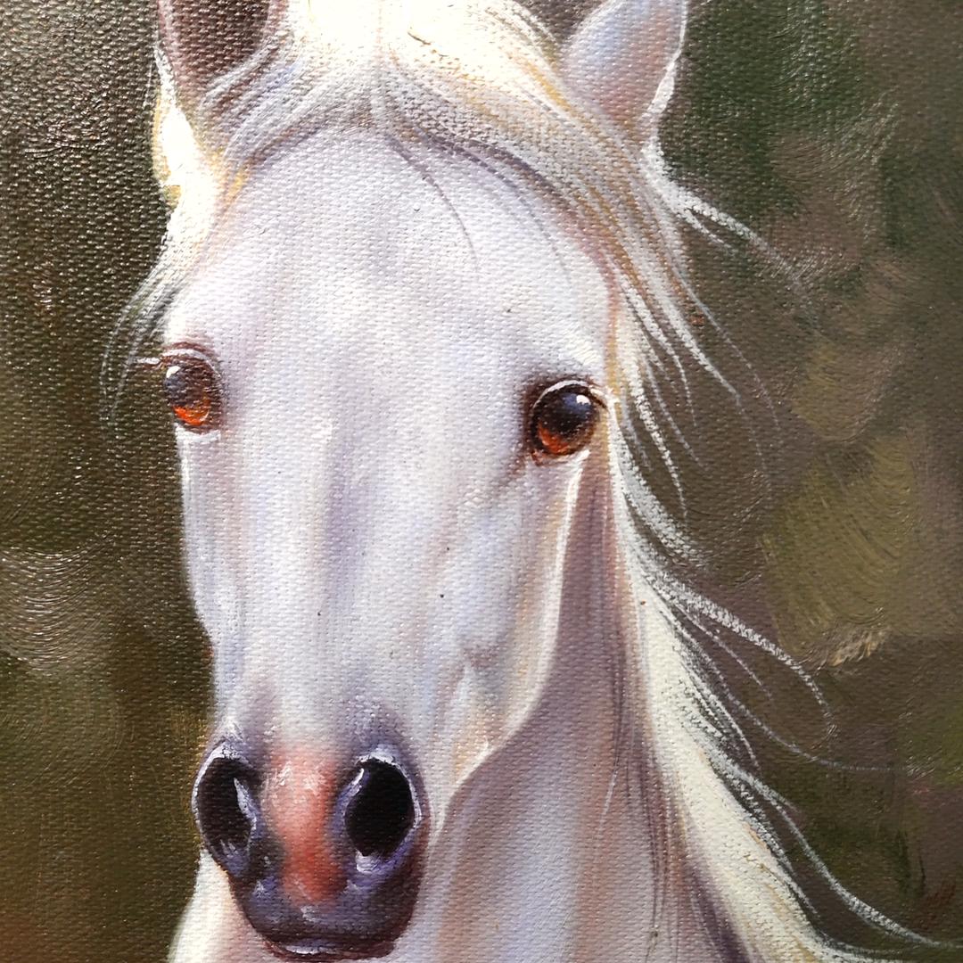 逐日暖阳（暖暖奶奶）