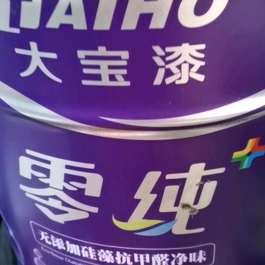 江苏省徐州市大宝漆代理