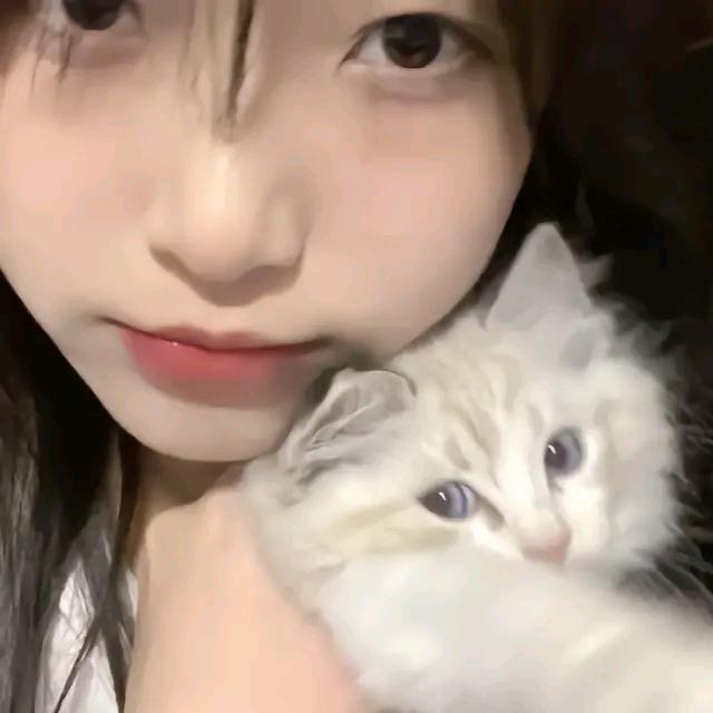 不关🐟🐟的事～