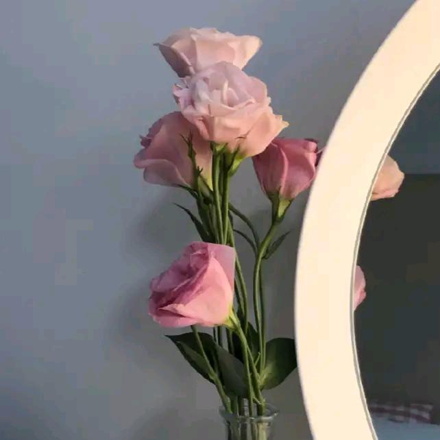 宋宋宋宋宋