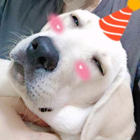 小小木⚈₃⚈