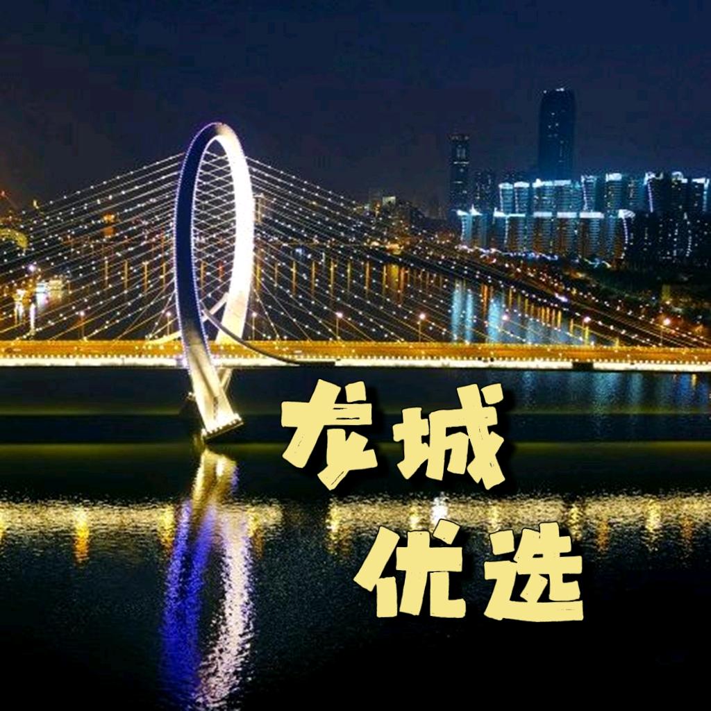 龙城优选