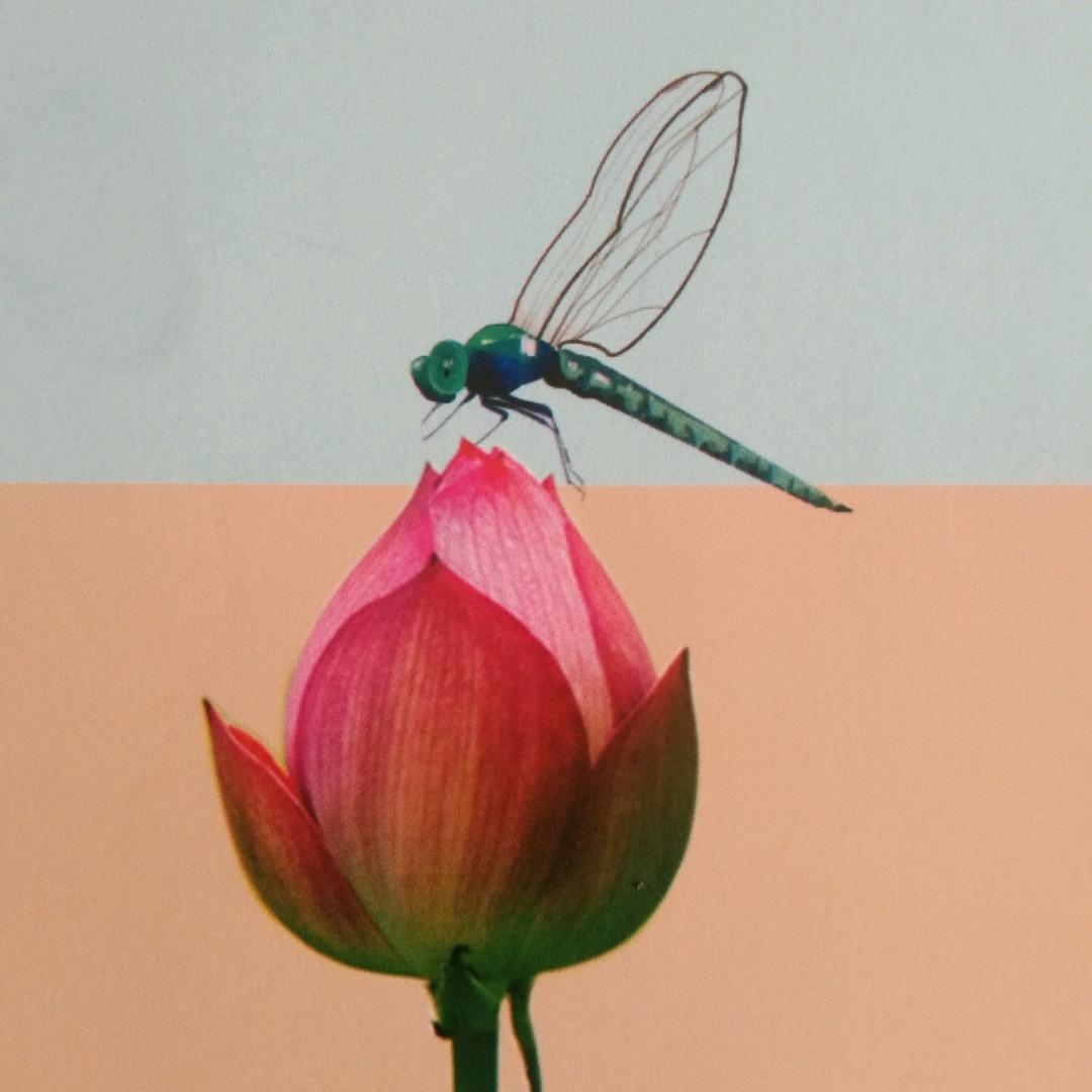 幻影