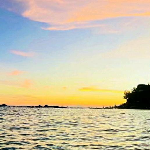 米朵🍀多米🎊