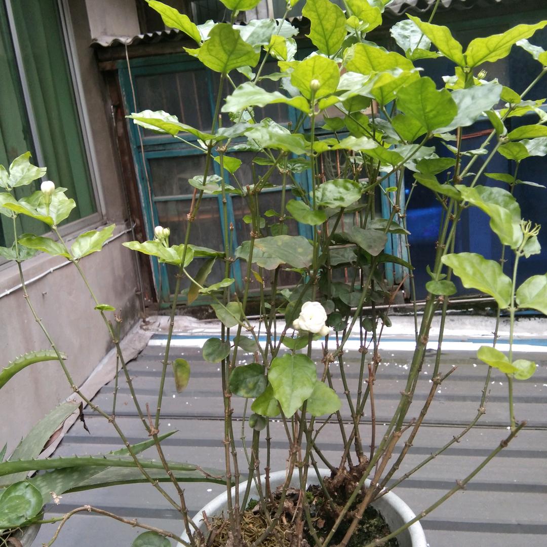 余生做最好的自己