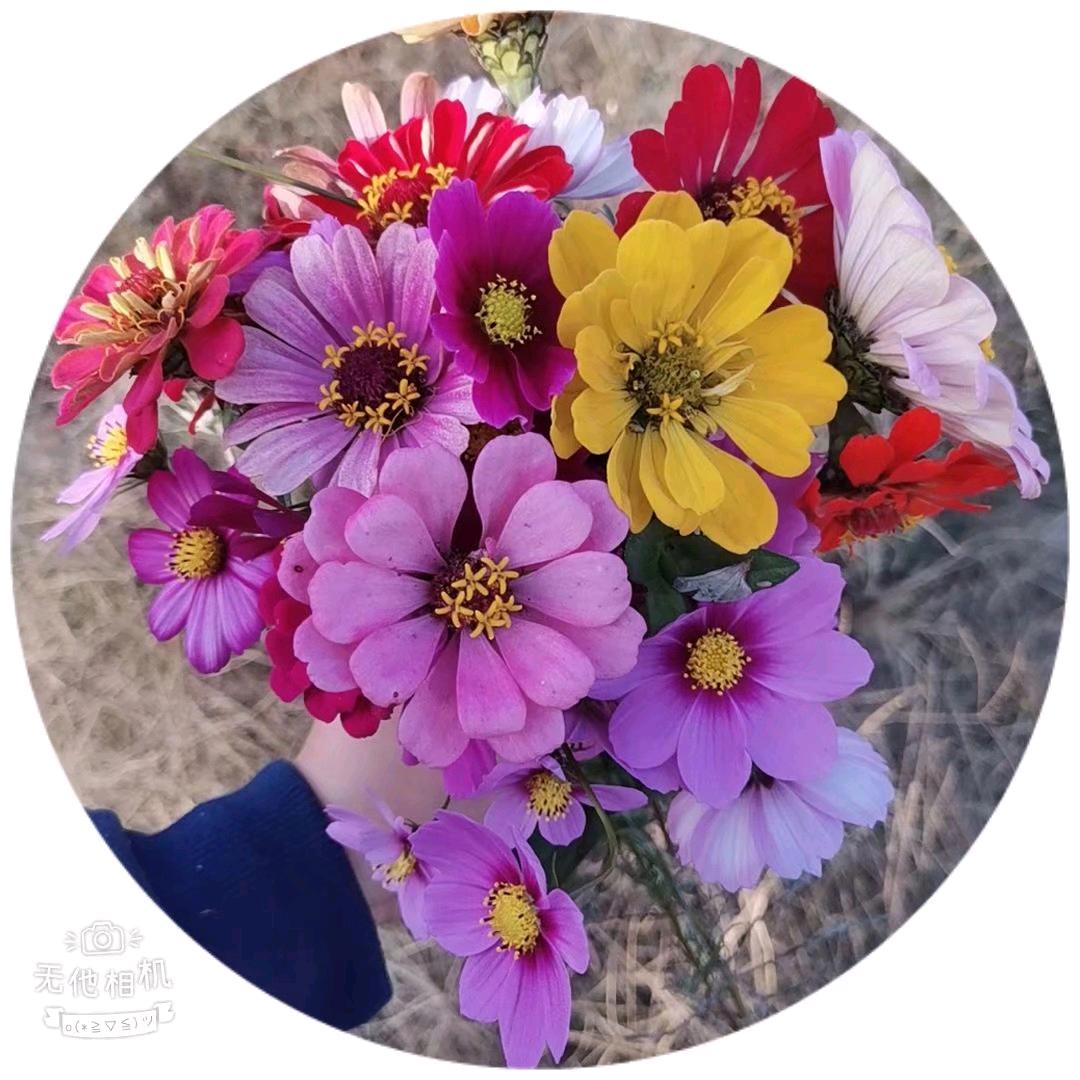 点滴记忆