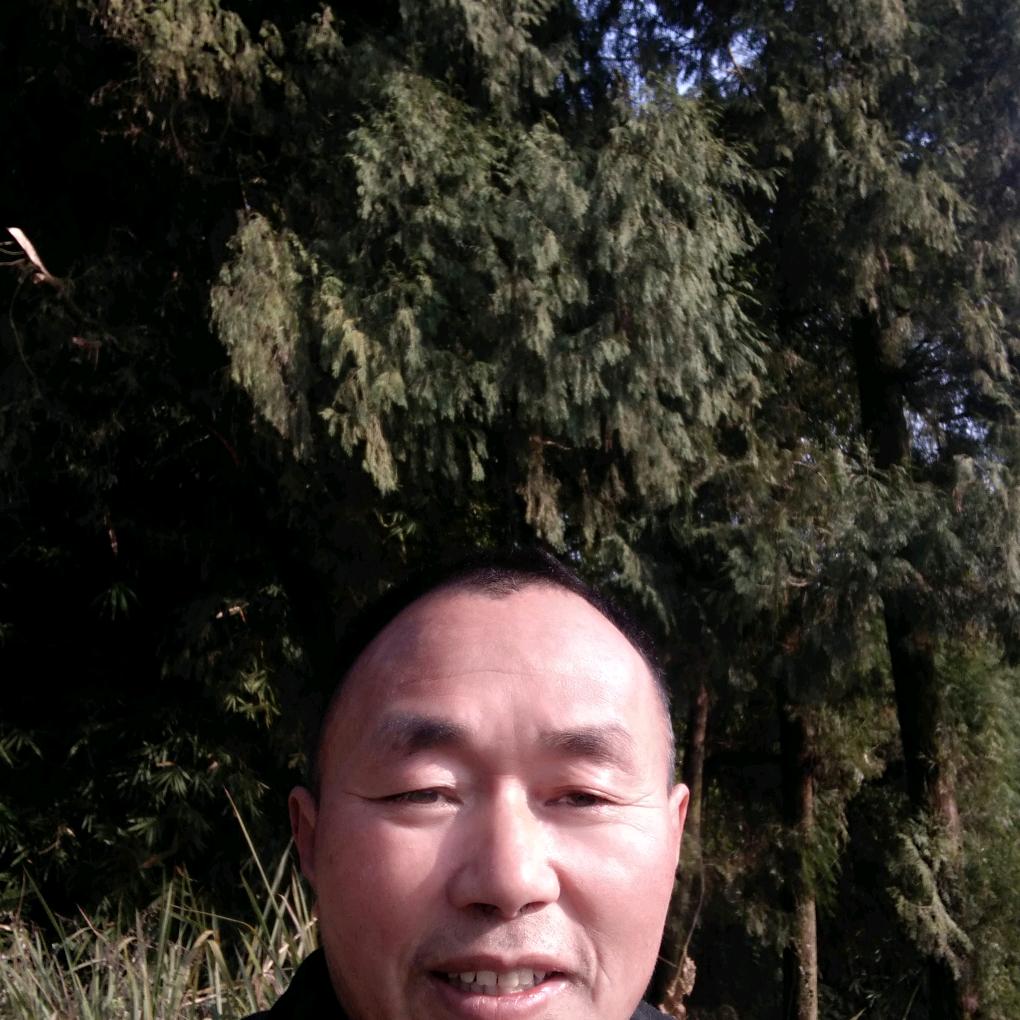 一半忧伤