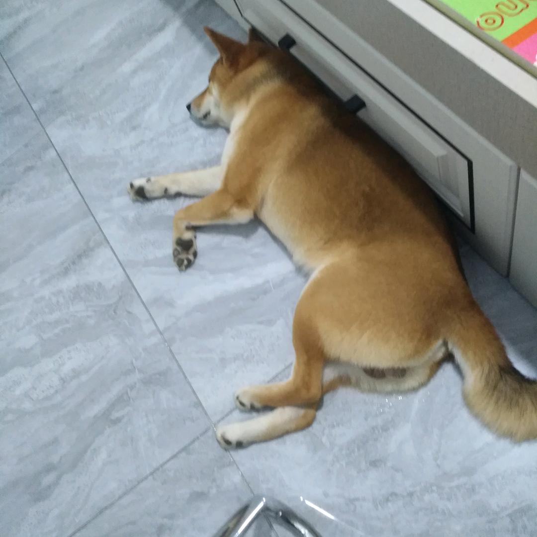 黑河中俄地接小姜