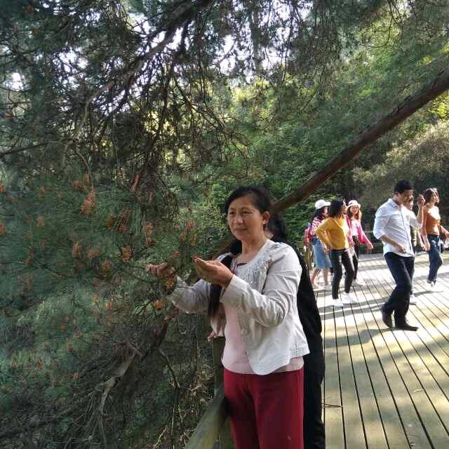 葛淼荣均桥新时优品健康管理社区站