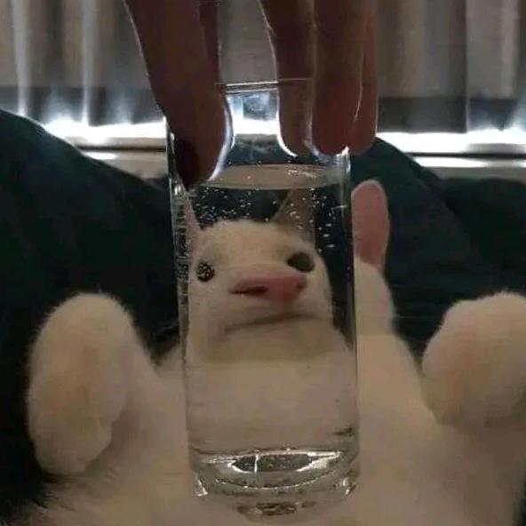 唯伊