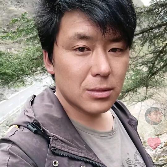 感情的戏我没演技