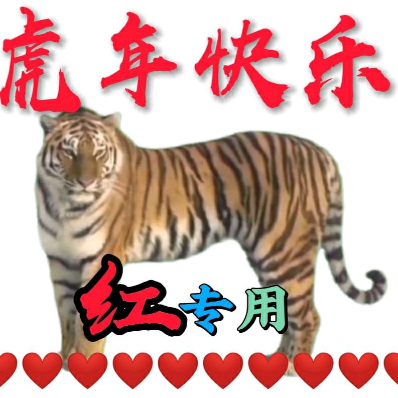 62年的虎