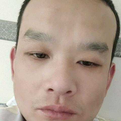 手机用户629762