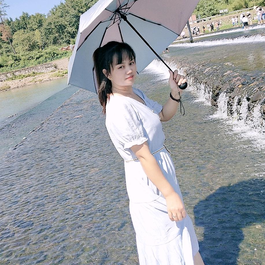 一叶🍀知秋🍁