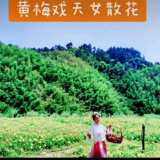 天女散花
